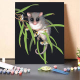 Pygmy Possum & Blossom