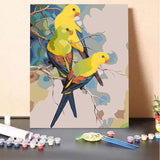 Regent Parrots