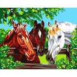 Animal Horse Diy Paint By Numbers Kits ZXB531 - NEEDLEWORK KITS