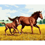 Animal Horse Diy Paint By Numbers Kits ZXQ1448 - NEEDLEWORK KITS