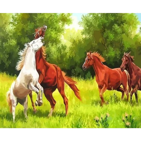 Animal Horse Diy Paint By Numbers Kits ZXQ2856 - NEEDLEWORK KITS