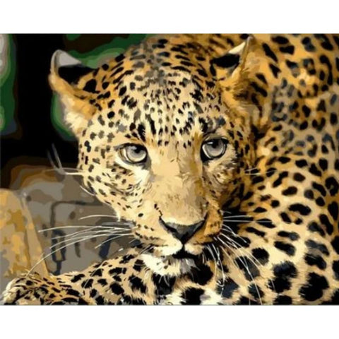 Animal Leopard Diy Paint By Numbers Kits ZXQ816 - NEEDLEWORK KITS