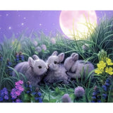 Animal Rabbit Diy Paint By Numbers Kits ZXQ3269 - NEEDLEWORK KITS