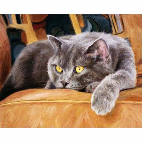 Cat Diy Paint By Numbers Kits PBN90549 - NEEDLEWORK KITS