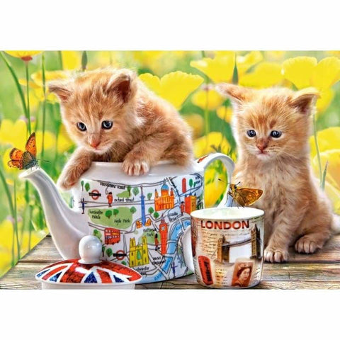 Cat Diy Paint By Numbers Kits PBN95909 - NEEDLEWORK KITS