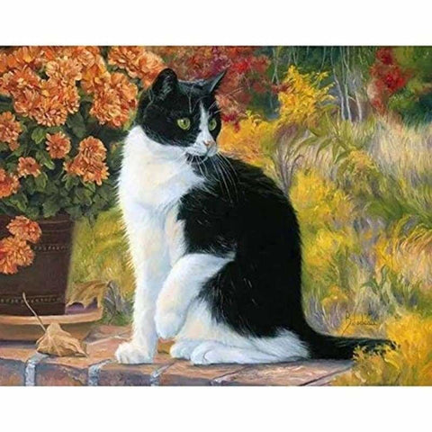 Cat Diy Paint By Numbers Kits VM92186 - NEEDLEWORK KITS