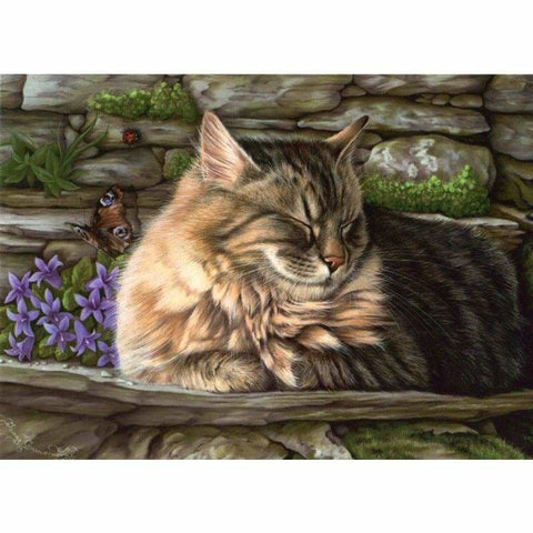 Cat Diy Paint By Numbers Kits VM95913 - NEEDLEWORK KITS