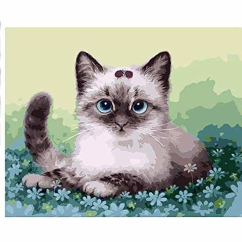 Cat Diy Paint By Numbers Kits VM96363 - NEEDLEWORK KITS