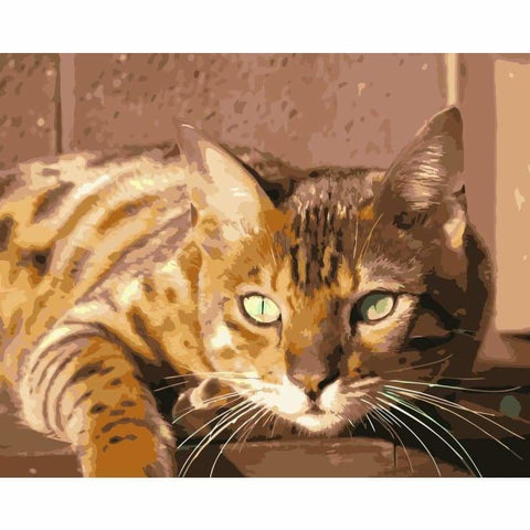 Cat Diy Paint By Numbers Kits WM-1234 - NEEDLEWORK KITS