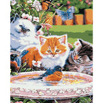 Cat Diy Paint By Numbers Kits WM-280 - NEEDLEWORK KITS