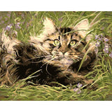 Cat Diy Paint By Numbers Kits WM-281 - NEEDLEWORK KITS