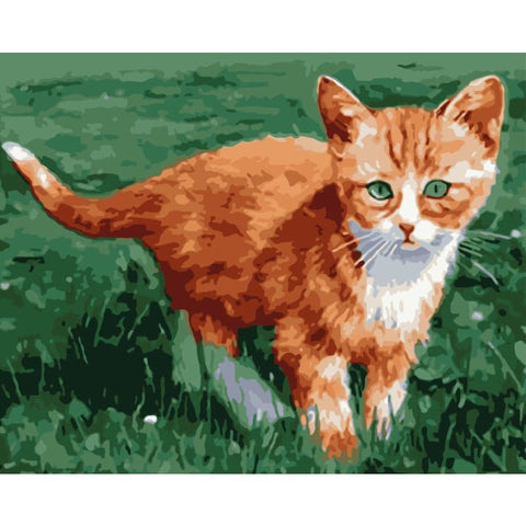 Cat Diy Paint By Numbers Kits WM-359 - NEEDLEWORK KITS