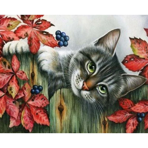 Cat Diy Paint By Numbers Kits ZXQ2230 - NEEDLEWORK KITS