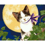 Cat Diy Paint By Numbers Kits ZXQ2472 - NEEDLEWORK KITS