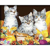 Cat Diy Paint By Numbers Kits ZXZ-096 - NEEDLEWORK KITS