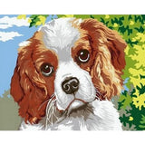 Dog Diy Paint By Numbers Kits ZXQ2186 - NEEDLEWORK KITS