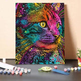 Felis – Paint By Numbers Kit