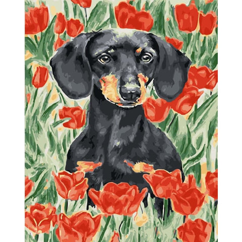 Flower Dog Diy Paint By Numbers Kits WM-551 - NEEDLEWORK KITS