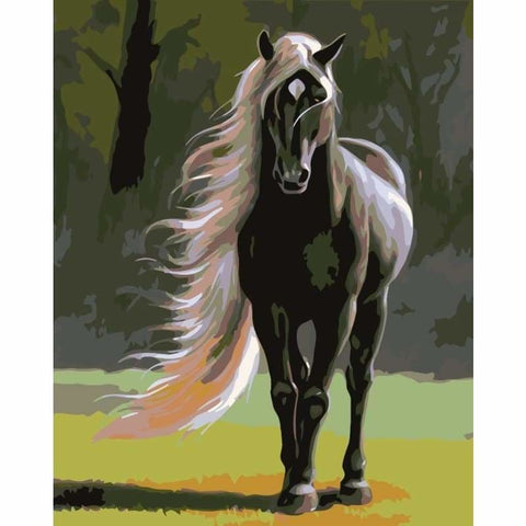 Horse Diy Paint By Numbers Kits PBN92632 - NEEDLEWORK KITS