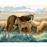 Horse Diy Paint By Numbers Kits PBN96112 - NEEDLEWORK KITS
