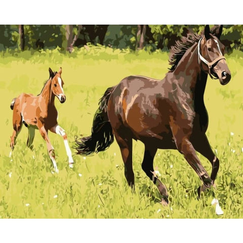 Horse & Foal Large Paint by Numbers Kit for Adults Free Shipping From  California, USA -  Australia