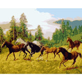 Horse Diy Paint By Numbers Kits WM-235 - NEEDLEWORK KITS