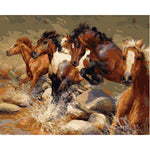 Horse Diy Paint By Numbers Kits WM-673 - NEEDLEWORK KITS