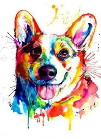 Rainbow Corgi