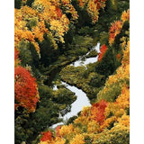 Landscape Forest Diy Paint By Numbers Kits ZXQ396 - NEEDLEWORK KITS