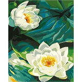 Lotus Diy Paint By Numbers Kits ZXE265 - NEEDLEWORK KITS