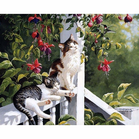 Pet Cat Diy Paint By Numbers PBN90493 - NEEDLEWORK KITS