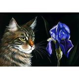 Pet Cat Paint By Numbers Kits PBN90666 - NEEDLEWORK KITS