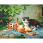 Pet Cat Paint By Numbers Kits VM90675 - NEEDLEWORK KITS