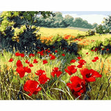 Poppy Flower Diy Paint By Numbers Kits WM-570 ZXQ919 - NEEDLEWORK KITS