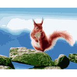 Squirrel Diy Paint By Numbers Kits WM-690 - NEEDLEWORK KITS