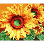 Sunflower Diy Paint By Numbers Kits YM-4050-161 - NEEDLEWORK KITS