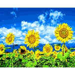 Sunflower Diy Paint By Numbers Kits ZXQ1490 - NEEDLEWORK KITS