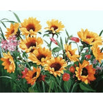 Sunflower  Diy Paint By Numbers Kits ZXQ2365 - NEEDLEWORK KITS