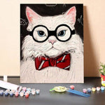 The cat with the glasses – Paint By Numbers Kit