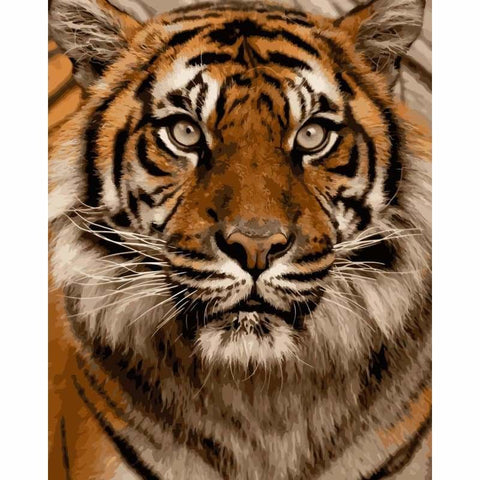 Tiger Diy Paint By Numbers Kits WM-249 - NEEDLEWORK KITS