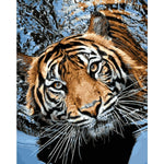 Tiger Diy Paint By Numbers Kits WM-748 - NEEDLEWORK KITS