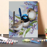 Wrens & Hardenbergia